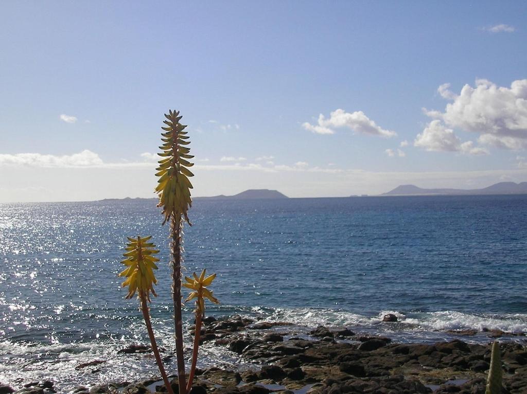 Casa Aguamarina 23B Villa Playa Blanca Dış mekan fotoğraf